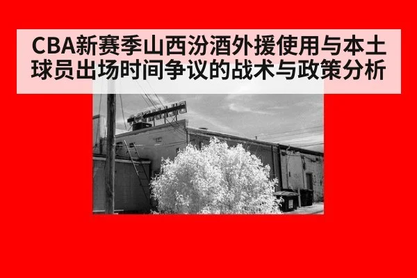 CBA新赛季山西汾酒外援使用与本土球员出场时间争议的战术与政策分析